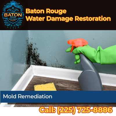 Professional Mold Remediation - Why Baton Rouge Water Damage Restoration is Your Best Bet