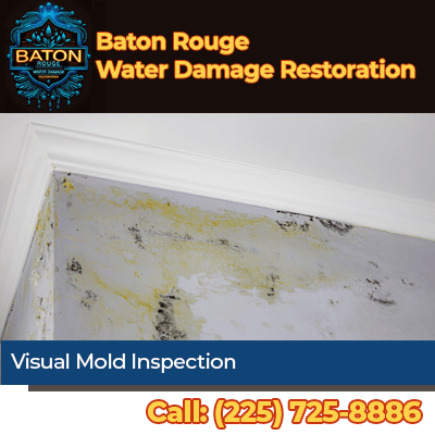 Mold Inspection - Why Baton Rouge Water Damage Restoration Should Be Your First Call